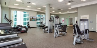 Nine15 Midtown Gallery 11