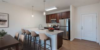 Magnolia Chase Gallery 1