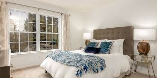 Essex Apartments Gallery 7