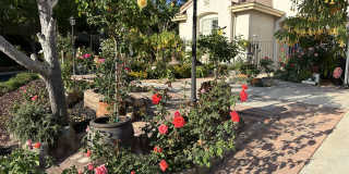 2244 Cannon Gate Gallery 16