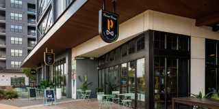 Starling Gallery 62