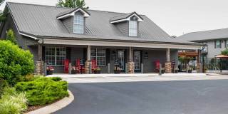 Southern Gallery 41