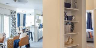 The Islands of Fox Chase Gallery 9