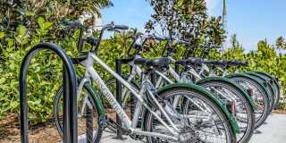 Inscription West Palm Beach Gallery 15