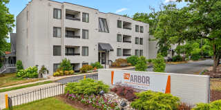 The Arbor Gallery 10