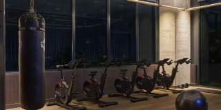 Alloy Alloy Gallery 17