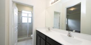 6574 S Anise Court Gallery 14