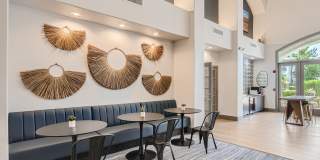 Springs at Alta Mesa Gallery 3