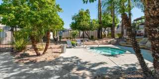 Palms at South Mountain Gallery 13