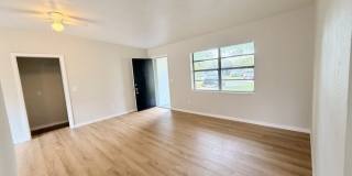 310 Kentia Road Gallery 6