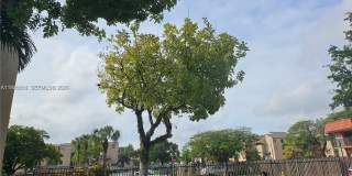 10641 SW 108th Ave Gallery 1