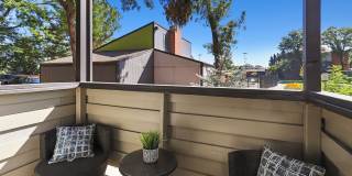 The Modern Gallery 19