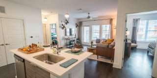 Anthem on Ashley Gallery 6