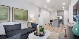 Prose Ascend Gallery 9