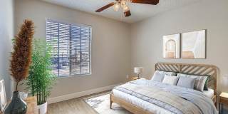 Rise on Cactus Gallery 96