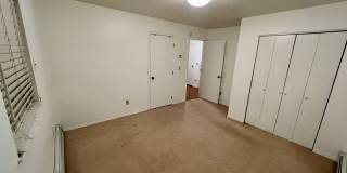 Carat Loop- Gallery 14