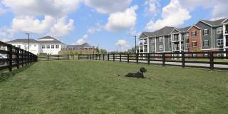 Greyson on 27 Gallery 15