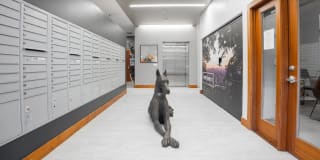 FortyOne 11 Apartments Gallery 63
