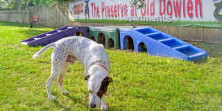 The Preserve at Old Dowlen Gallery 13