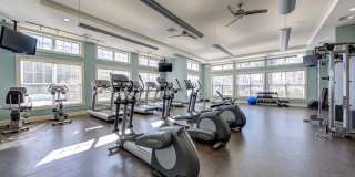 Prynne Hills Gallery 27