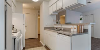 Pear Orchard Gallery 10