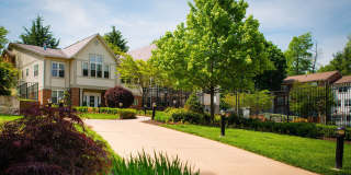 The Amberleigh Gallery 1