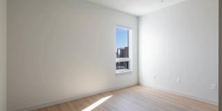 The Basin Gallery 29