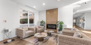 Triton Cay Daytona Gallery 1