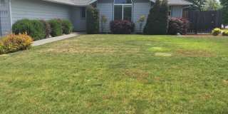 Nice home in newer neighborhood Gallery 3