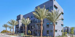 The Willows Gallery 24