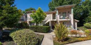 Newly renovated downstairs 1 bedroom 1 bath. Gallery 35