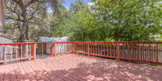 5602 Timber Bark Gallery 23