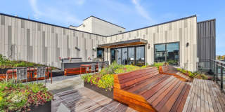 Stellar Gallery 4