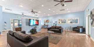 Sea Oats Sea Oats Gallery 53