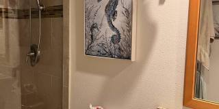 255 Dolphin Point Gallery 9