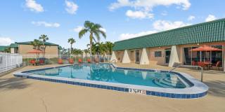 Buena Vista Gallery 48