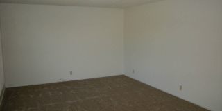 Comfortable 3/2 that allows pets! Gallery 5