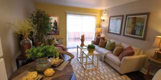 Ramblewood Apartments Gallery 46