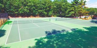 Wexford Village Gallery 38