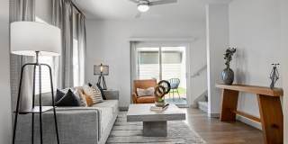 Collection at Gruene Gallery 2