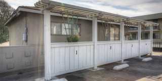 3059 Hawthorn Gallery 21