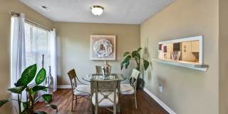 River Birch at Town Center Gallery 11