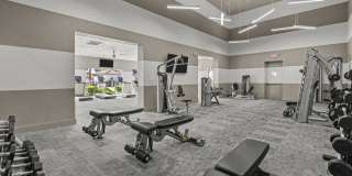 San Marino Gallery 11