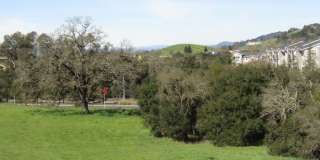 347 Semillon Lane Gallery 7