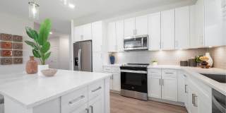 Alta Citron Gallery 72