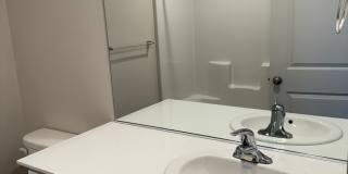 Beautiful 3 Bedroom 2 Bathroom Home Available Now Gallery 5