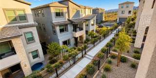 1482 Upland Sandpiper Street Gallery 28