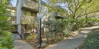 2159 Shelter Creek Lane Gallery 1