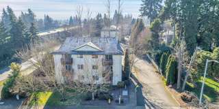 Chelsea Court Gallery 1