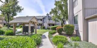 480 Coyote Creek Cir Gallery 1
